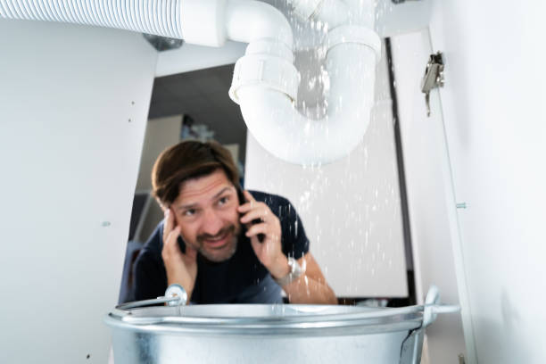 Best Commercial Plumbing Services  in Harvard, IL