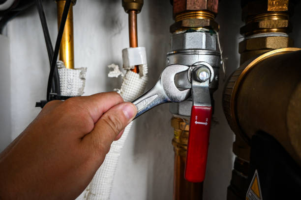 Best Toilet Repair Services  in Harvard, IL